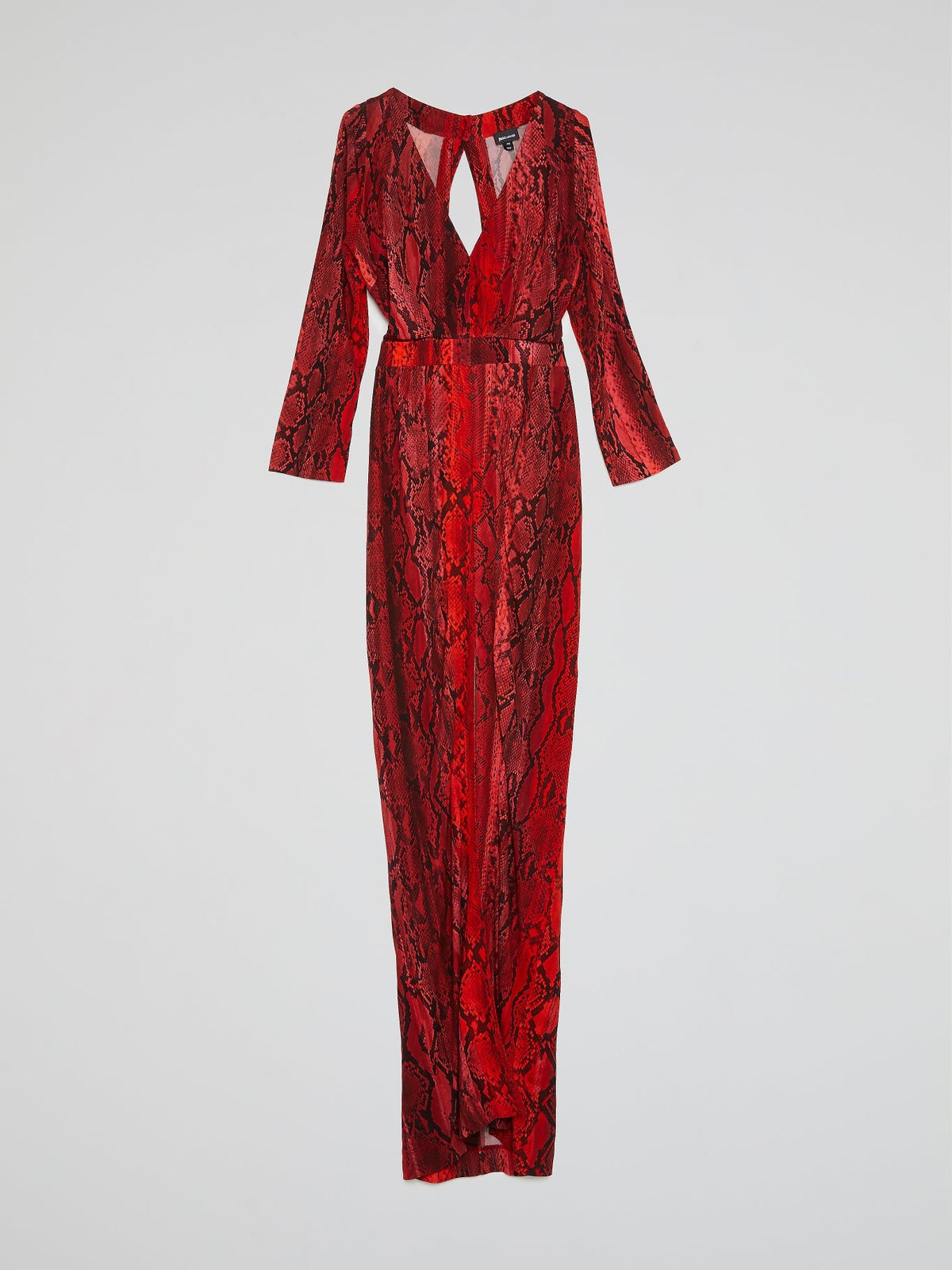 Red Reptilian Maxi Dress