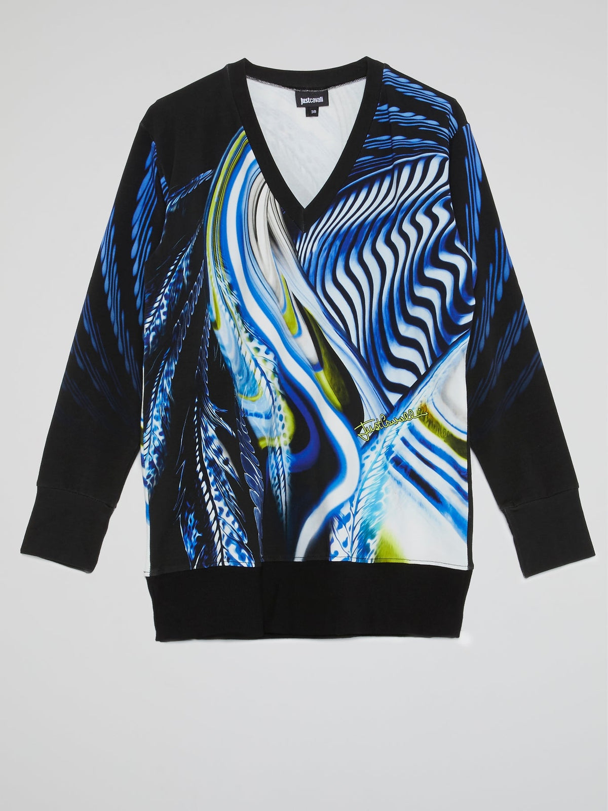 Blue Printed V-Neck Pullover